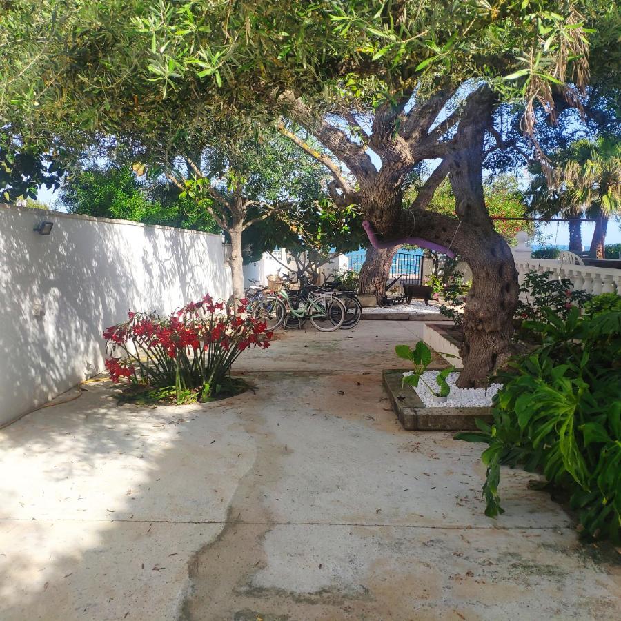 Cala Llanetes Vinarós Exterior foto